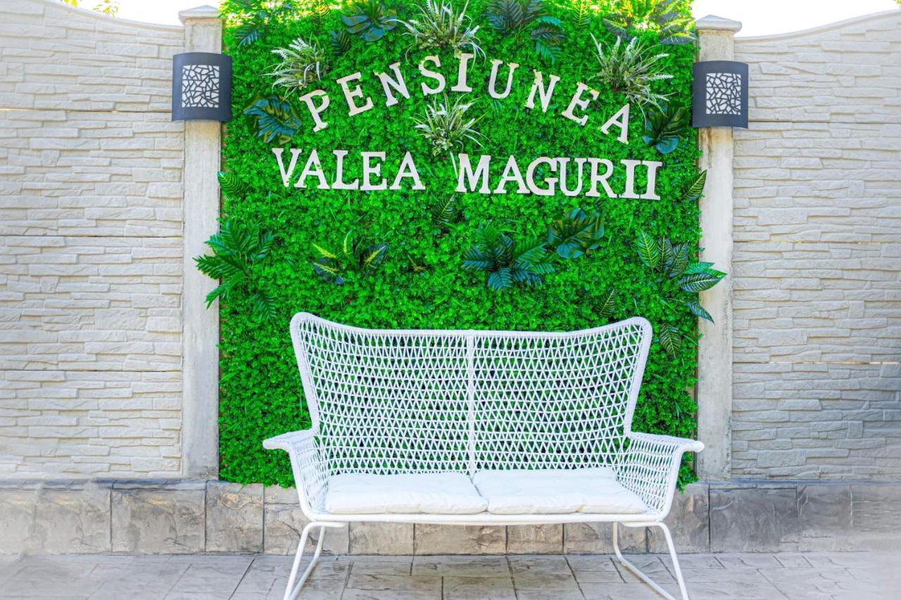 Pensiunea Valea Magurii Новач-Стрэйни Экстерьер фото