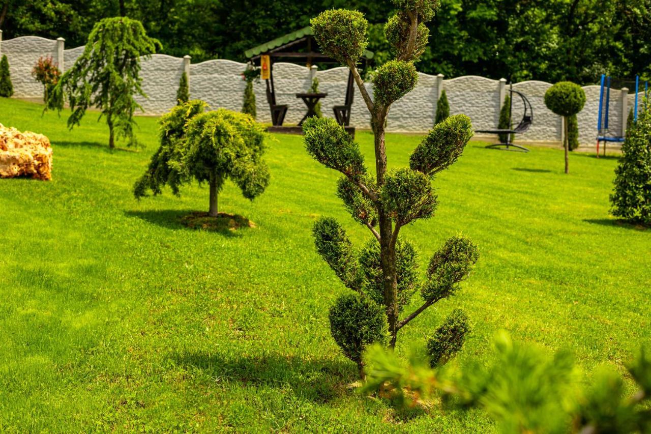 Pensiunea Valea Magurii Новач-Стрэйни Экстерьер фото