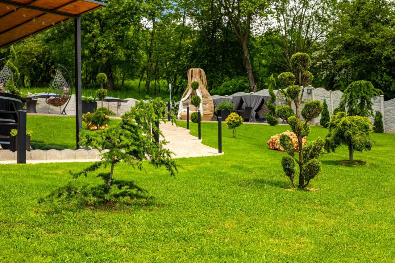 Pensiunea Valea Magurii Новач-Стрэйни Экстерьер фото